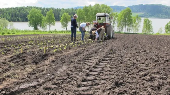 Planting med maskin og traktorkjøring