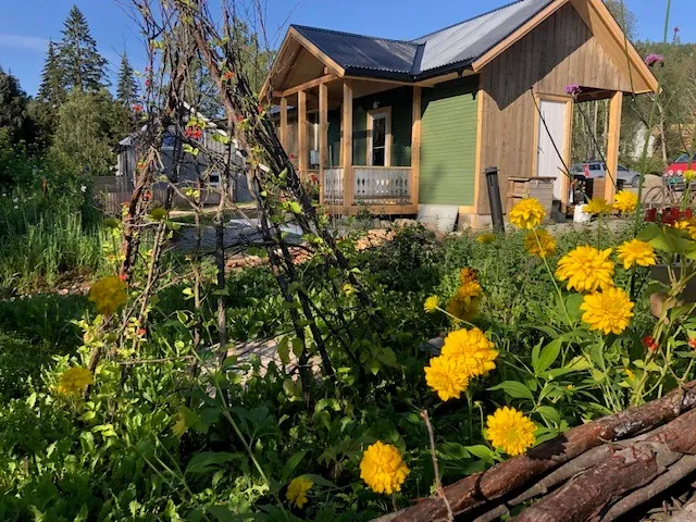 Gule blomster i forkant av Hannes lille landhandel