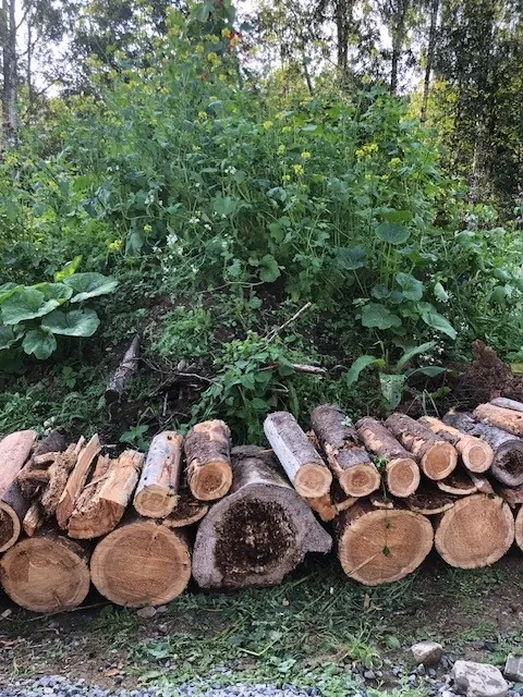 Stubber og trevirke i bunnen av et Hügelbed.