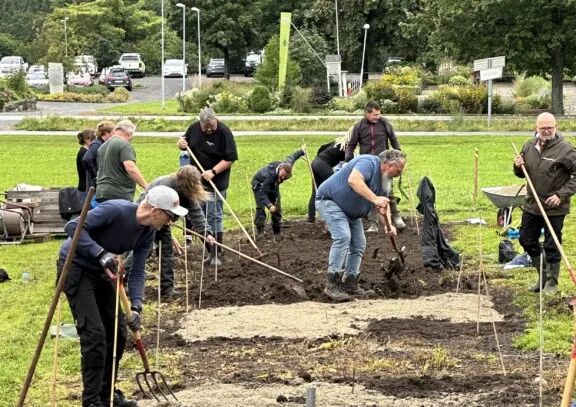 Kursdeltagere lærer å etablere blomstereng